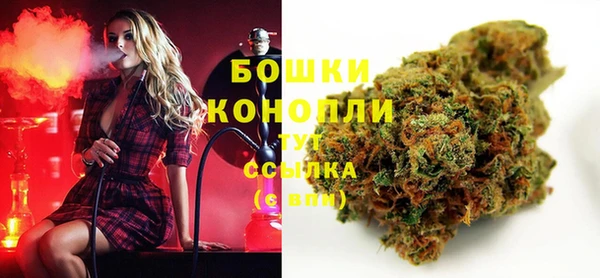 a pvp Новозыбков